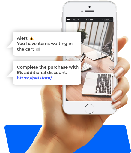 Abandoned Cart Reminder Messages